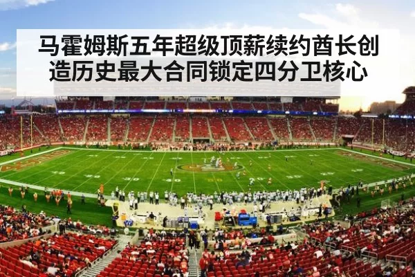 NFL football stadium action