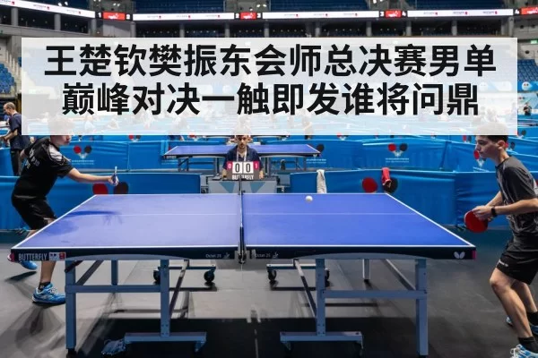 王楚钦樊振东会师总决赛男单巅峰对决一触即发谁将问鼎