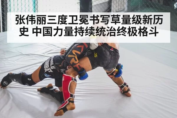 mixed martial arts competition