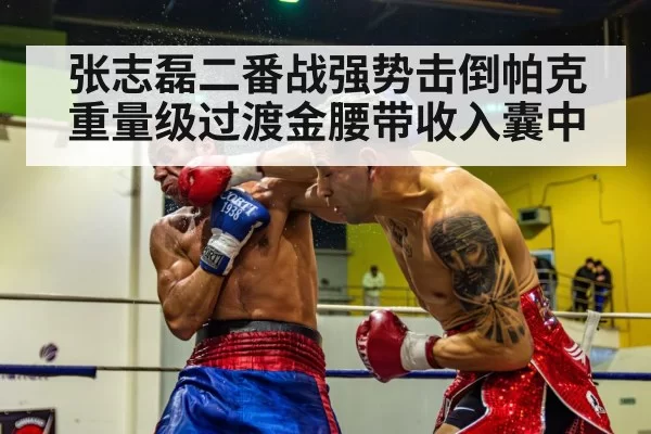 boxing punch knockout