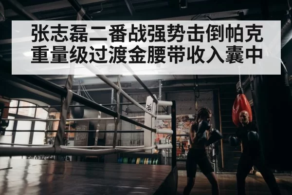 boxer training gym